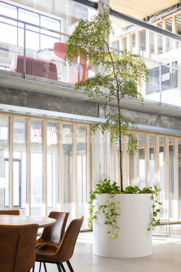 2631-LINEAR_MLYNICA_OFFICE_06I5422