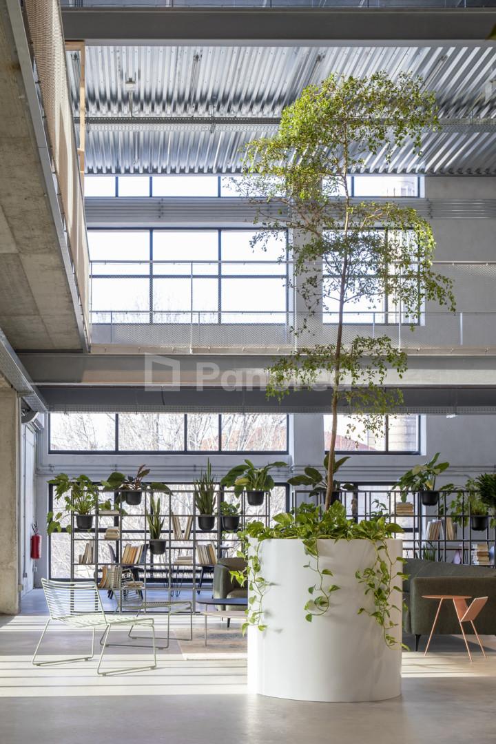 2666-LINEAR_MLYNICA_OFFICE_06I5450